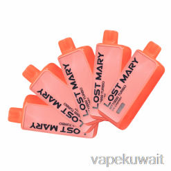 [5 عبوات] نظام جراب Vape القابل للتصرف Lost Mary MT15000