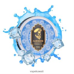 Alibarbar أكياس النيكوتين الجليد المتجمد PRH2FR84 Vape Pod System
