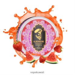 Alibarbar أكياس النيكوتين الفراولة والبطيخ الجليد PRH2FR93 Vape KW